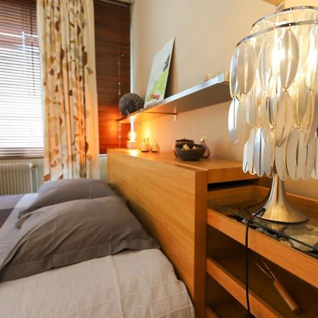 Le Rhone Lejlighed Annecy Eksteriør billede